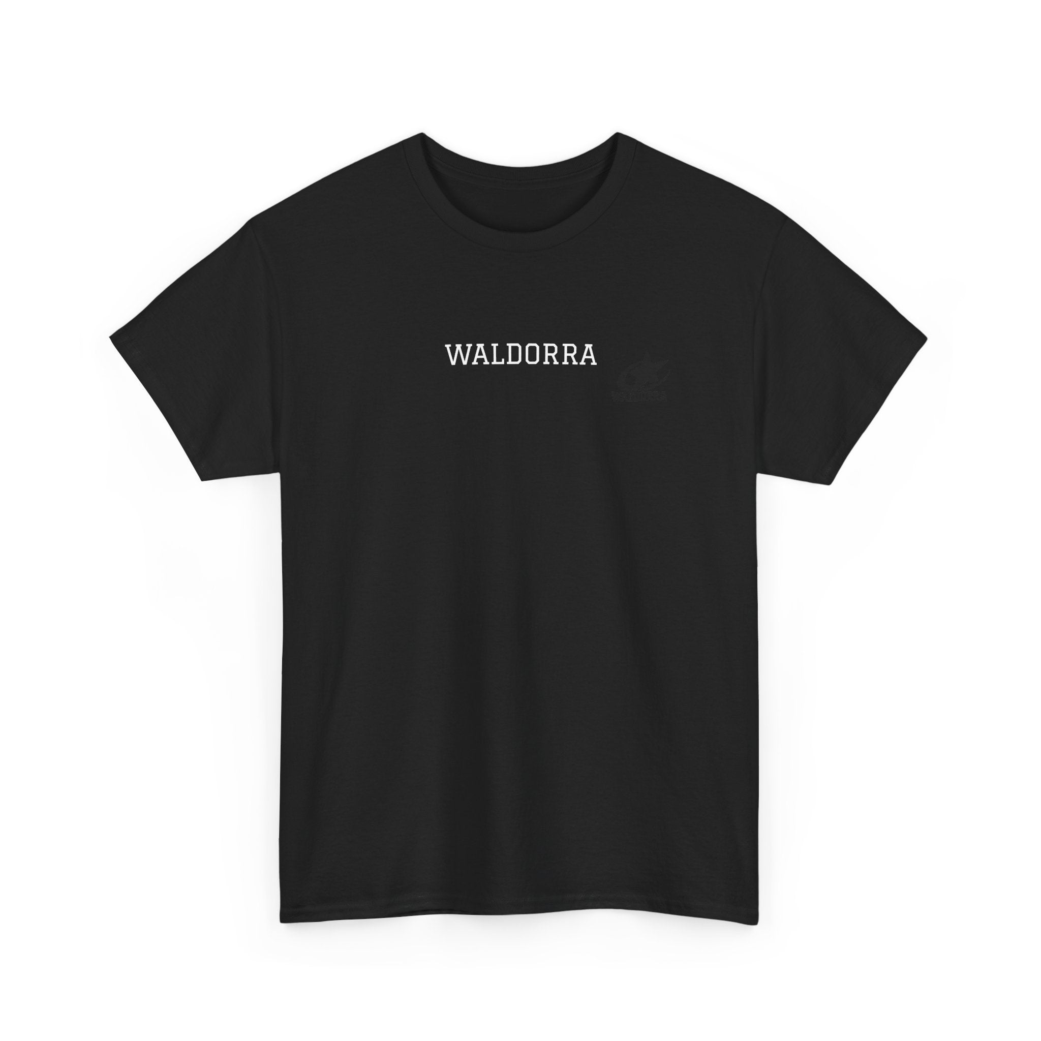 #SWAG T-Shirt – Minimal Front 'Waldorra' Logo, Bold Back #SWAG Graphic Tee